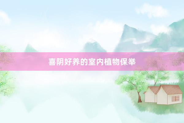喜阴好养的室内植物保举